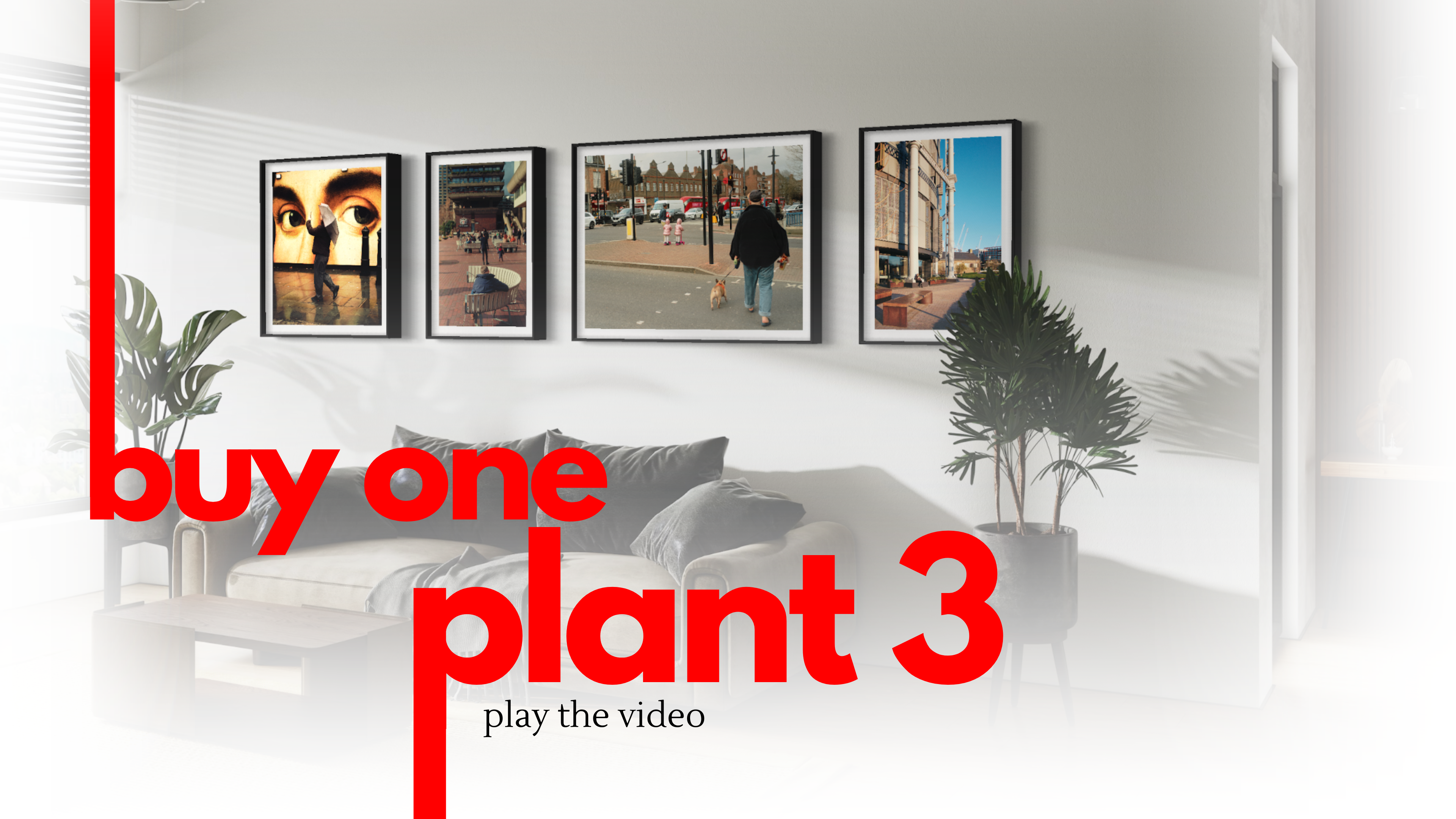 Load video: Buy a print - Plant 3 Mangrove Trees